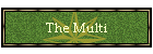 The Multi